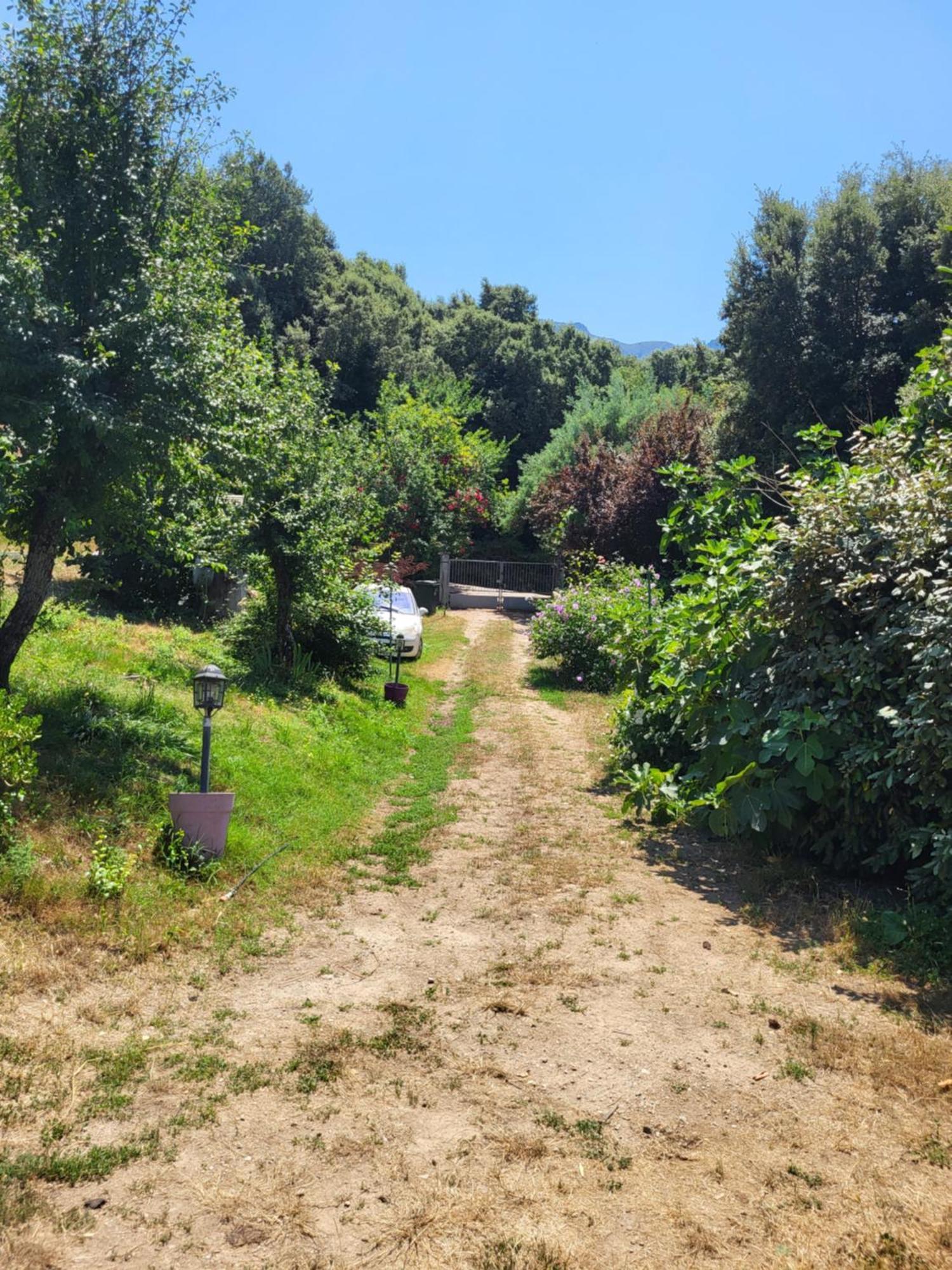 Studio A La Campagne Ucciani Εξωτερικό φωτογραφία
